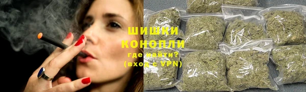 ГАЛЛЮЦИНОГЕННЫЕ ГРИБЫ Заволжье