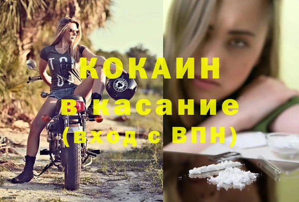 кокс Ельня