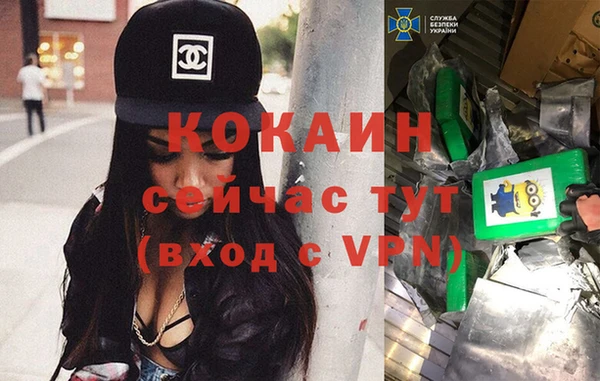 кокс Ельня