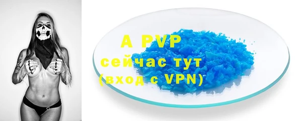ГАЛЛЮЦИНОГЕННЫЕ ГРИБЫ Заволжье
