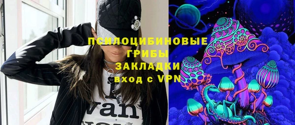 ГАЛЛЮЦИНОГЕННЫЕ ГРИБЫ Заволжье