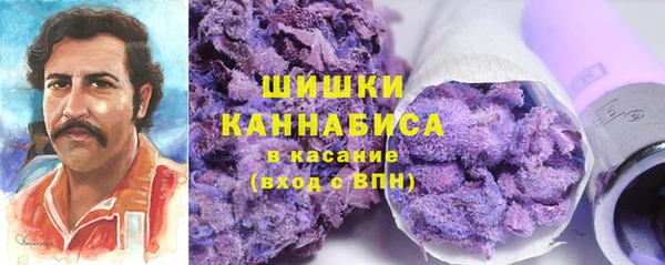 альфа пвп Елизово